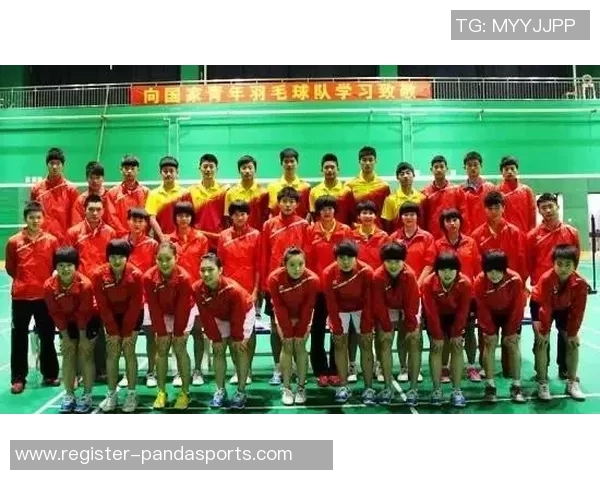 西安羽毛球队成长之路：一段羽毛球的奋斗与梦想纪实实时数据